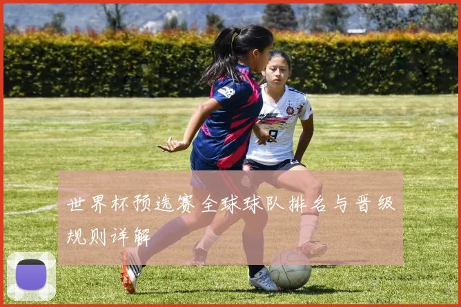世界杯预选赛全球球队排名与晋级规则详解